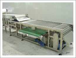 Lychee Fruit Grading Machine