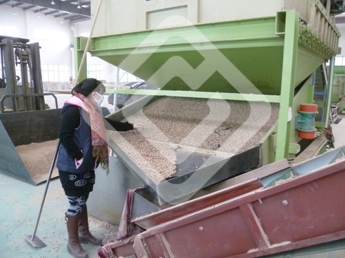 biomass pellet mills