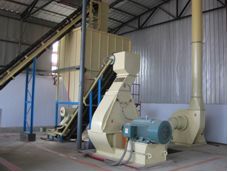 Project of Wood Pellet Plant