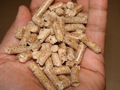 biomass pellet