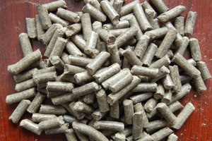 pellet