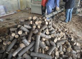 making biomass briquettes