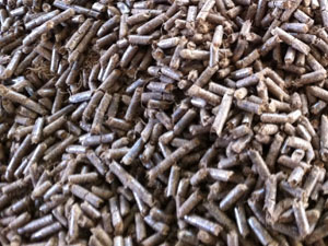 EFB pellets