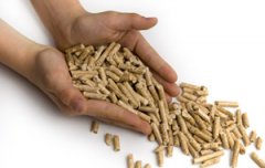 History and background of pellets