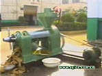 6YL-95 Oil Expeller